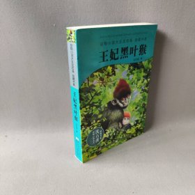 动物小说大王沈石溪：王妃黑叶猴