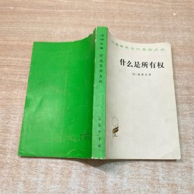 什么是所有权
