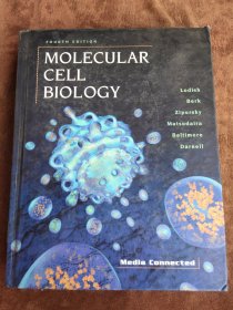 MOLECULAR CELL BIOLOGY