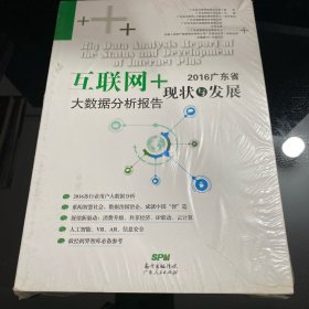 2016广东省互联网+现状与发展大数据分析报告