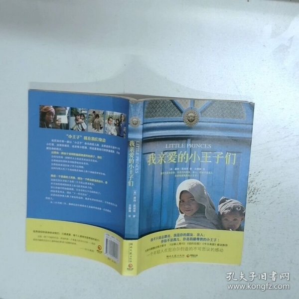 我亲爱的小王子们   美 葛瑞南著 湖南文艺出版社