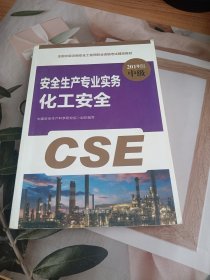 注册安全工程师2019教材化工安全专业实务全国中级注册安全工程师职业资格考试辅导教材2019版