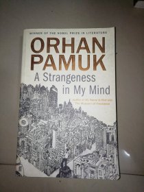 ORHAN PAMUK【16开】