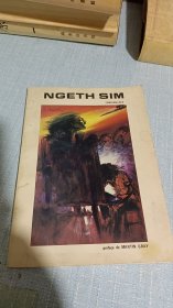 NGETH SIM TEMOIGNAGES抽象油画画册