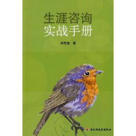 生涯咨询实战手册（万千心理）