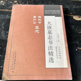 大唐墓志书法精选：程知节、高力士墓志，