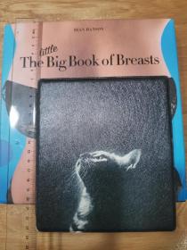 The little Big Book of Breasts Dian Hanson