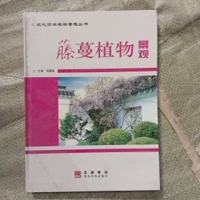 虅蔓植物景观/现代园林植物景观丛书