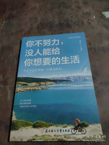 全10册励志书籍你不努力谁也给不了你想要的生活没伞的孩子必须努力奔跑青春文学励志书受益一生的十本书