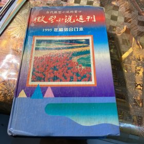 微型小说选刊:1995年精装合订本
