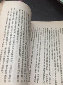 世界人民和平大会