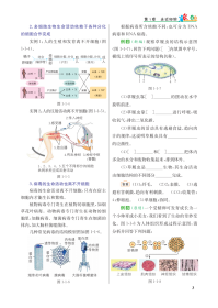 全新正版 重难点手册高中生物学必修1分子与细胞RJ 编者:徐启发|责编:夏浩 9787562297086 华中师大