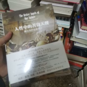 人性中的善良天使：暴力为什么会减少