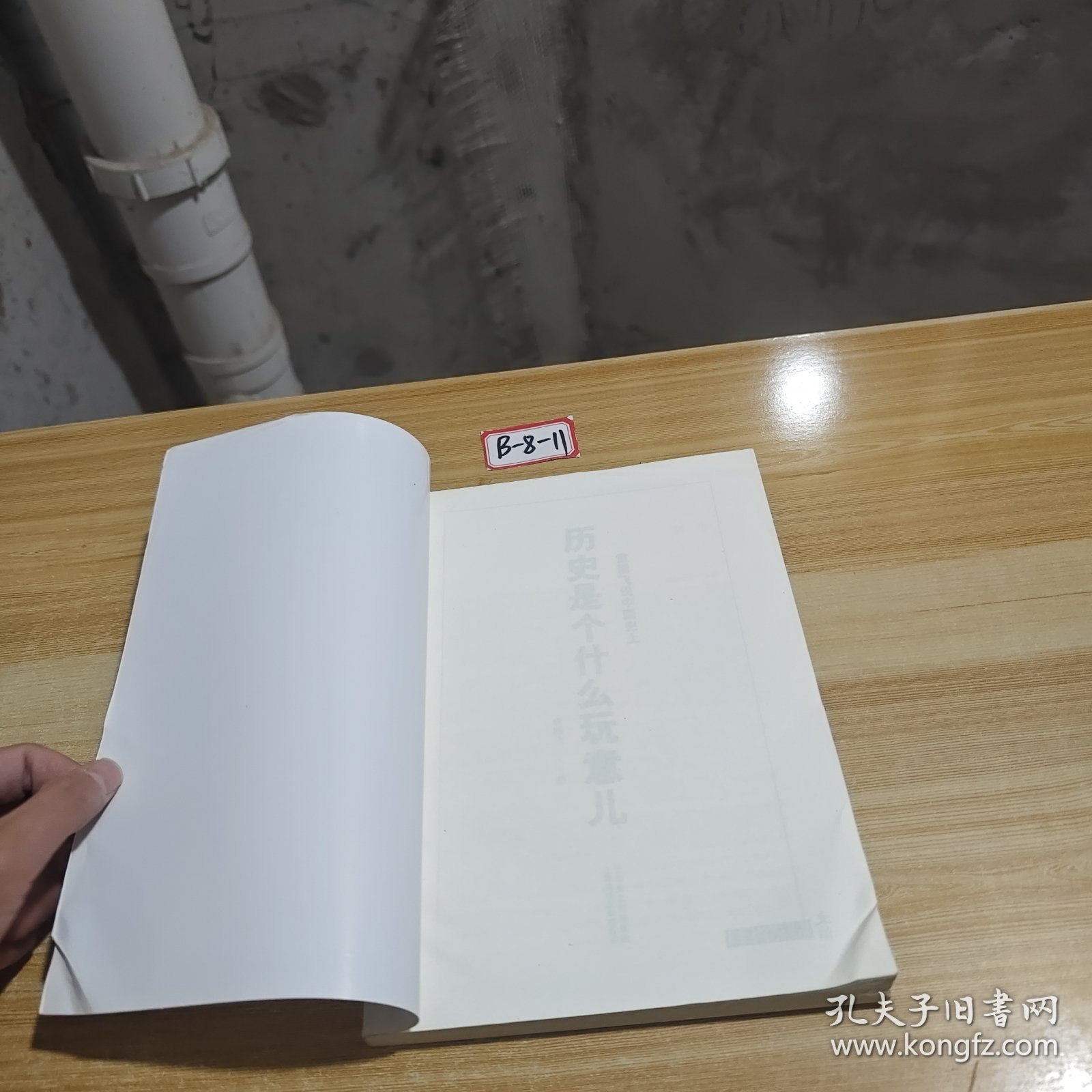 历史是个什么玩意儿1：袁腾飞说中国史 上