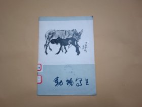 动物写生