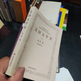 美国文学史