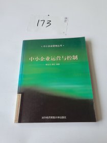 中小企业运营与控制——中小企业管理丛书