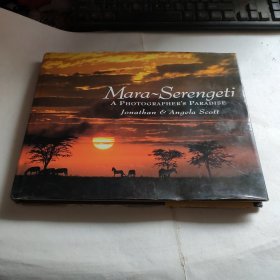 MARA-SERENGETI A PHOTOGRAPHER'S PARADISE/玛拉-塞伦盖蒂摄影师的天堂