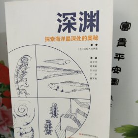 深渊：探索海洋最深处的奥秘