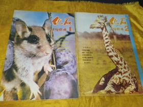化石1984.1.2.