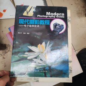 现代摄影教程：电子暗房技术