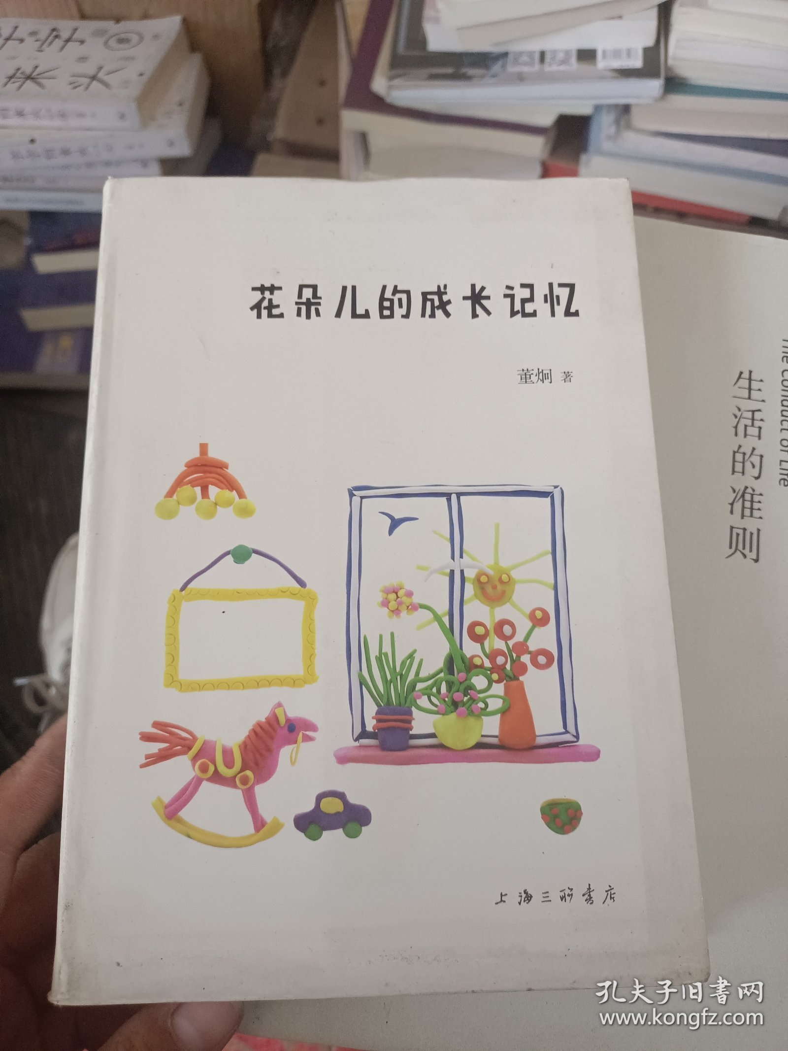 花朵儿的成长记忆