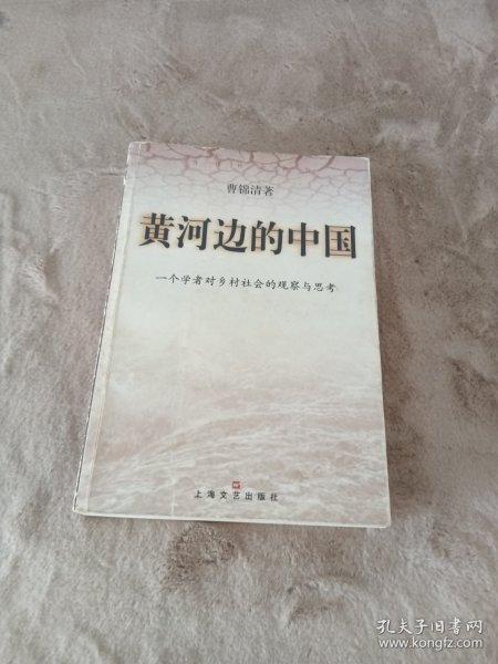 黄河边的中国:一个学者对乡村社会的观察与思考