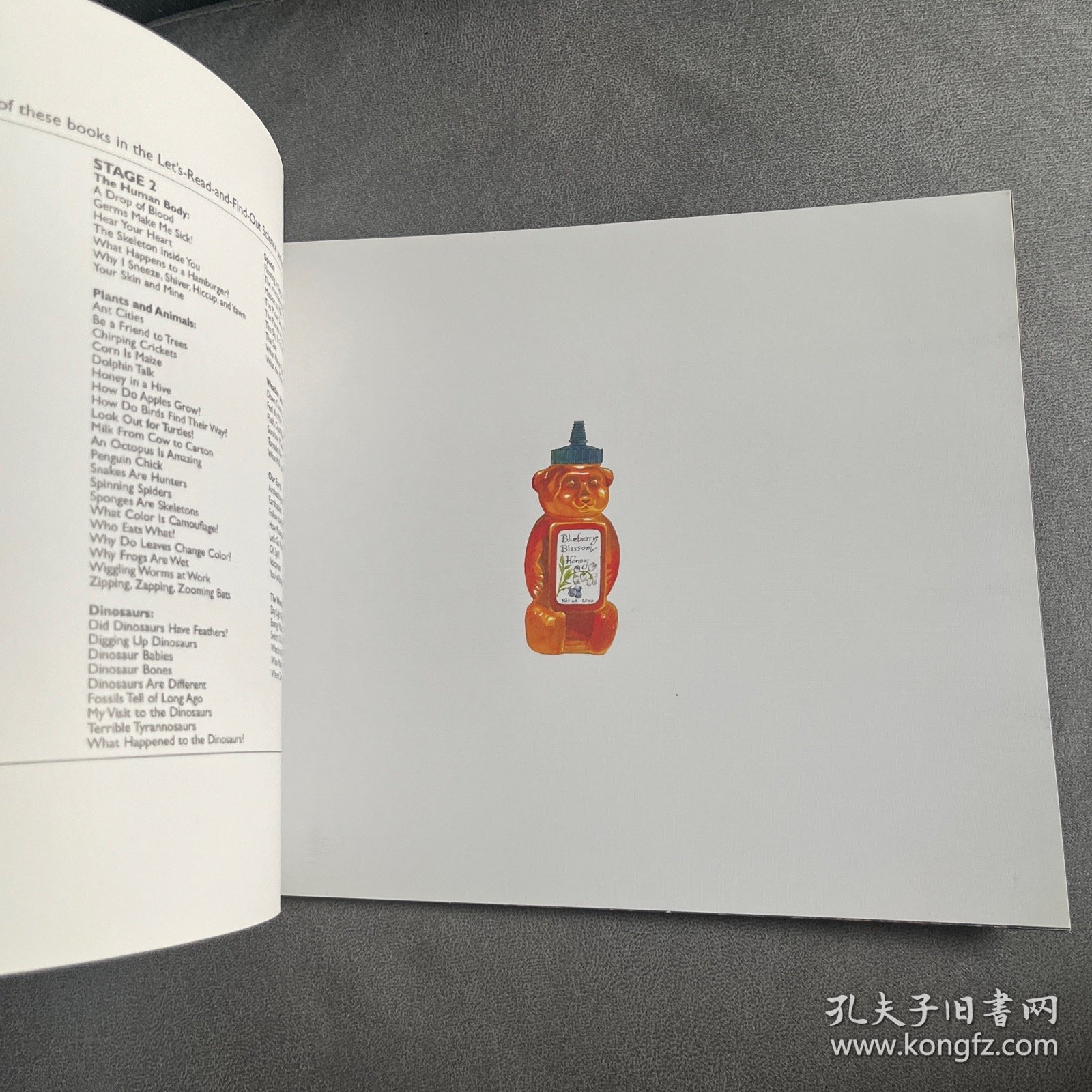 Honey in a Hive (Let's Read and Find Out) 自然科学启蒙2：蜂房里的蜜蜂