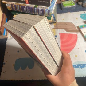 刘少奇纪事上下