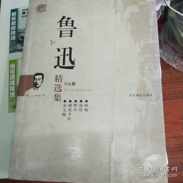 鲁迅精选集