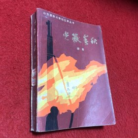 山东革命斗争回忆录丛书：光嶽春秋 续集