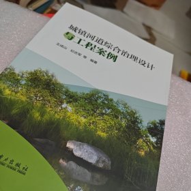 城镇河道综合治理设计与工工程案例