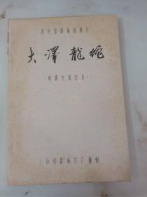 大泽龙蛇 完成台本 彩色宽银幕故事片