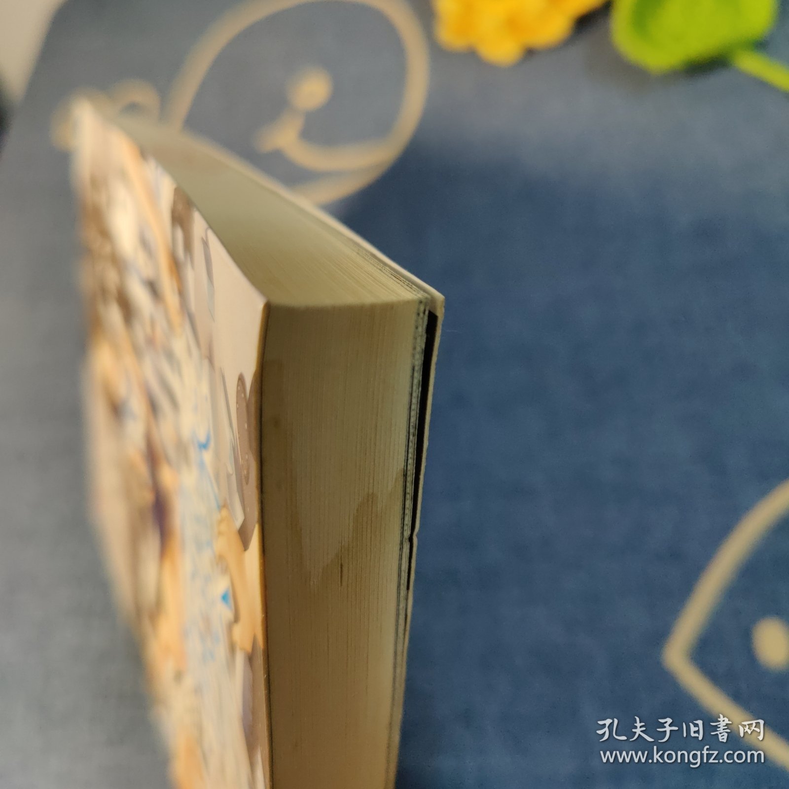 点击查看原图 灰色积木