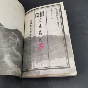 中国还是能说不：中国可以说不续篇