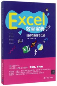 Excel效率宝典(财务管理高手之路)