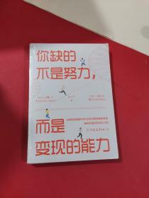 你缺的不是努力，而是变现的能力：用精准努力撬动财富自由(未拆封)