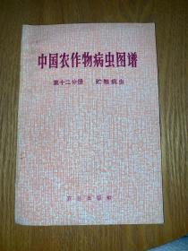 中国农作物病虫图谱(第十二分册)贮粮病虫