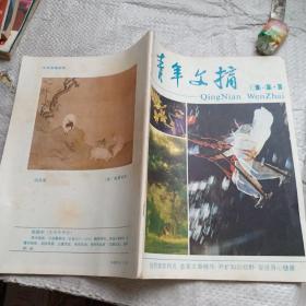 中国青年1978 4