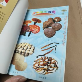 食用菌治百病