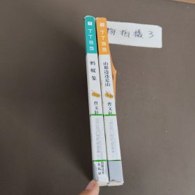 丁丁当当：4山那边还是山，7蚂蚁象（两本合售）