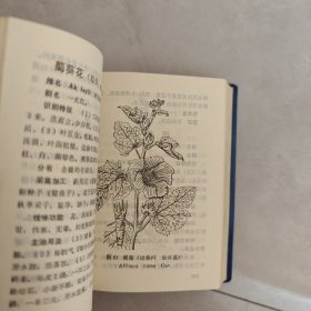 新疆中草药手册