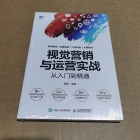 视觉营销与运营实战从入门到精通