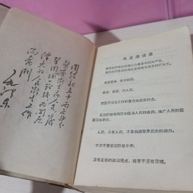 农村医生手册