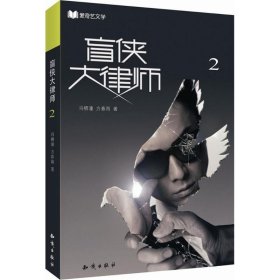 盲侠大律师:2