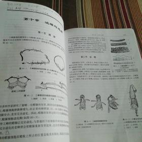 蜜蜂生物学