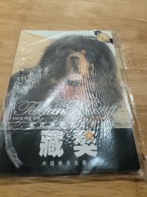 来自青藏高原的神犬：藏獒