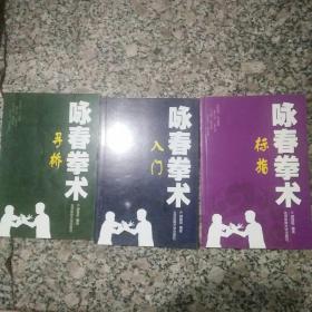 咏春拳术：入门  寻桥   标指（三册）