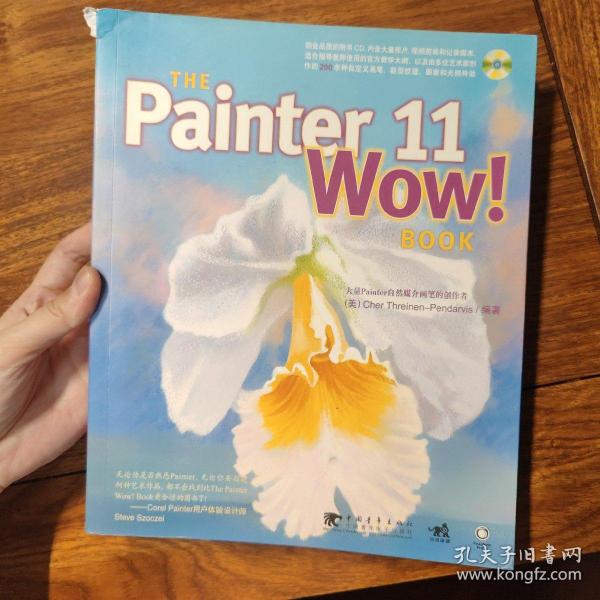 THE PAINTER 11 WOW！BOOK