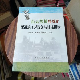 白云鄂博特殊礦采選冶工藝攻關(guān)與技術(shù)進(jìn)步